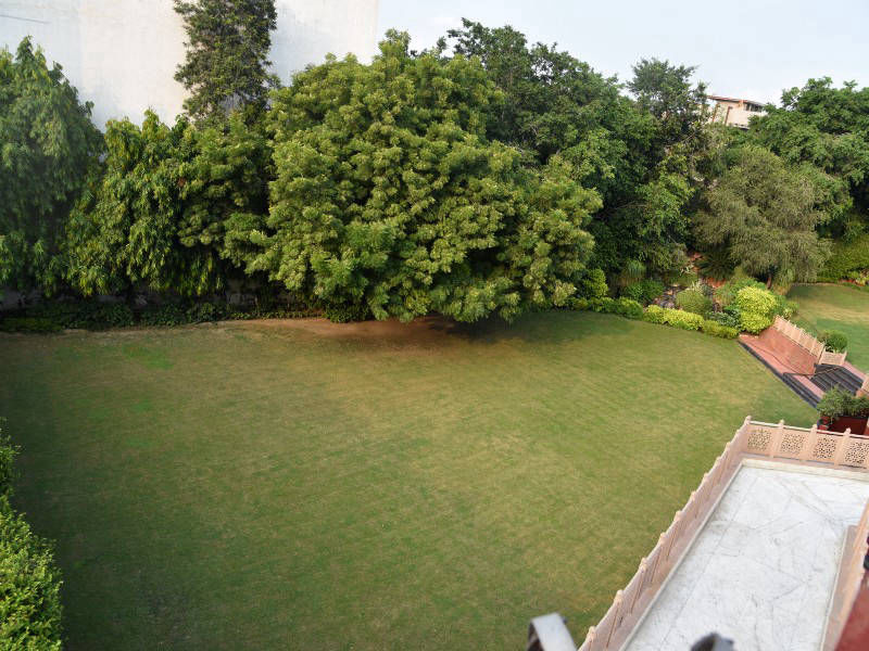 Wedding garden lawn